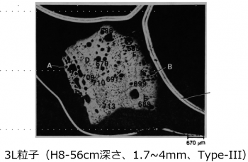 図２(f)　3L粒子の研磨断面