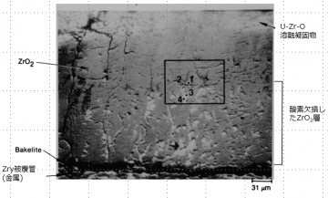 図16(d)　1E粒子のZrO2皮膜/U-Zr-O溶融凝固物界面の拡大BSI