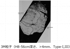 図13(f)　3M粒子の断面金相