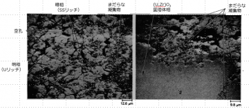 図17(d)　領域-1と領域-2の拡大BSI