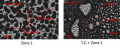 図X3：BSE像(Corium2:Siリッチ)[2]