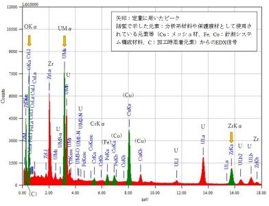 位置① 矢印：定量に用いたピーク 括弧で示した元素：分析系材料や保護膜材として使用されている元素等（Cu：メッシュ材、Fe, Co：計測システム構成材料、C：加工時蒸着元素）からのEDX信号