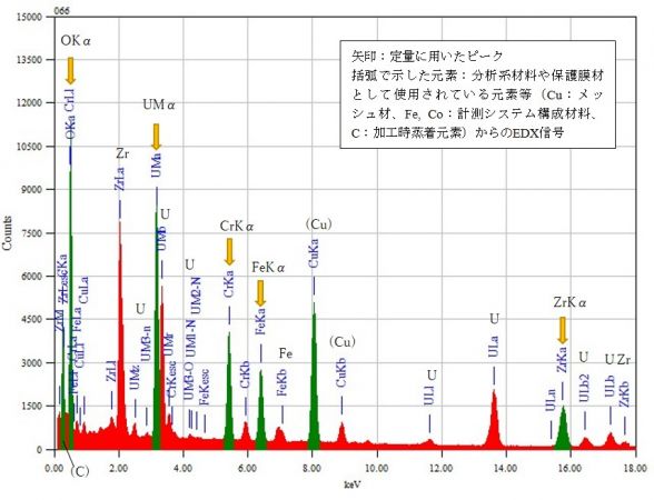 位置⑨ 矢印：定量に用いたピーク 括弧で示した元素：分析系材料や保護膜材として使用されている元素等（Cu：メッシュ材、Fe, Co：計測システム構成材料、C：加工時蒸着元素）からのEDX信号
