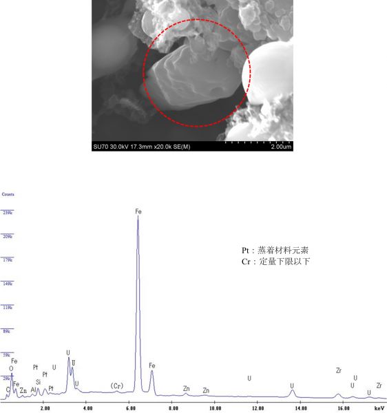 図17 2WEL2101B 領域04の中央付近を中心としたEDS点分析スペクトル 注意事項：上図の赤破線の中心をEDX点分析の中心とした。 なお、赤破線はEDX点分析の範囲を示しているわけではない。 Pt：蒸着材料元素 Cr：定量下限以下